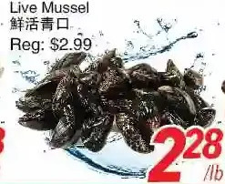 Foody World Live mussel offer