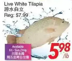 Foody World Live white tilapia offer