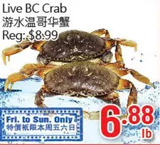 Hong Tai Supermarket Live bc crab offer
