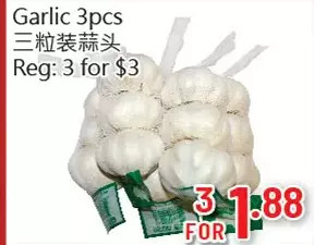 Garlic