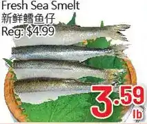 Hong Tai Supermarket Fresh sea smelt offer