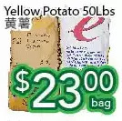 Ample Food Market Yellow potato offer