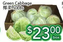 Ample Food Market Green cabbage offer