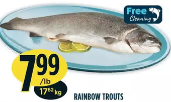 Marché Adonis Rainbow trouts offer