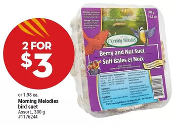 Giant Tiger Morning melodies bird suet offer
