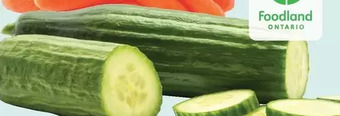 Giant Tiger English cucumber offer
