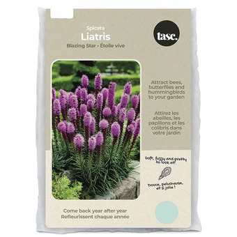 Tasc blazing star liatris spicata bulbs