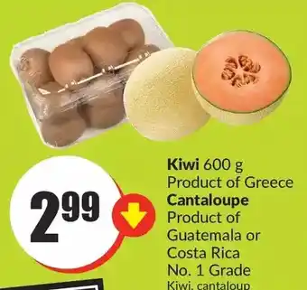 FreshCo Kiwi | cantaloupe offer