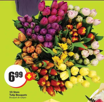 FreshCo 10-stem tulip bouquets offer