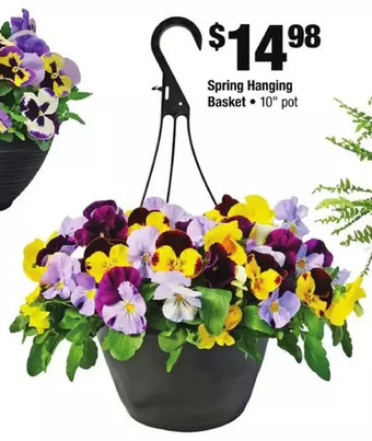 Home Depot Spring hanging basket offer