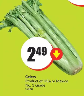 FreshCo Celery offer