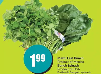 FreshCo Methi leaf bunch | bunch spinach offer