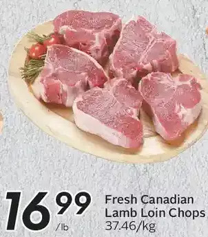Sobeys Fresh canadian lamb loin chops offer