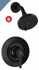 Lowe's Moen arlys faucet bath/shower offer