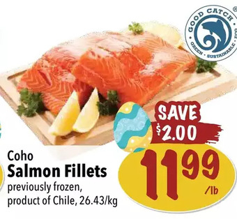 Farm Boy Coho salmon fillets offer