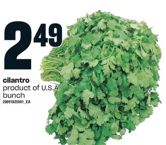 Loblaws Cilantro offer