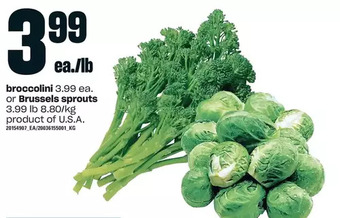 Loblaws Broccolini or brussels sprouts offer