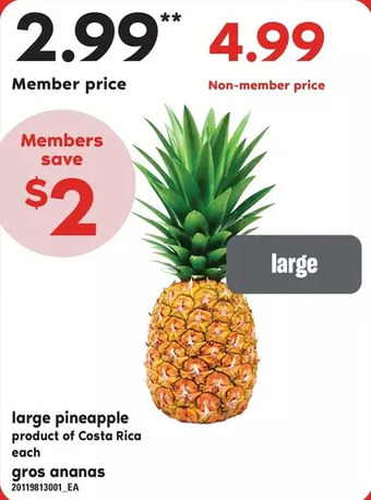 Independent Grocer Large pineapple offer
