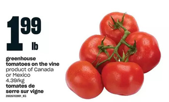 Independent Grocer Greenhouse tomatoes on the vine offer