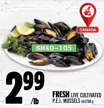 Metro Fresh live cultivated p.e.i. mussels offer