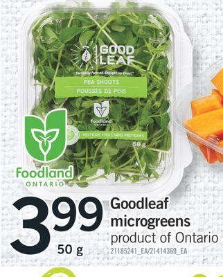 Fortinos Goodleaf microgreens, 50 g offer