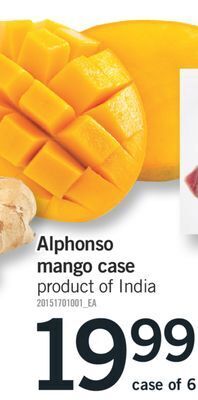 Fortinos Alphonso mango, case of 6 offer