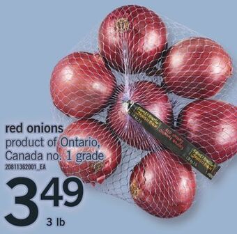 Fortinos Red onions offer