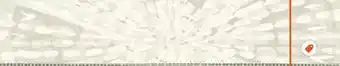 Home Depot Lili whittwhitt silver sunburst peel and stick wallpaper offer