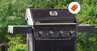 Home Depot Napoleon rogue 4 burner black lp​​ offer