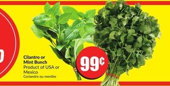 FreshCo Cilantro or mint bunch product of usa or mexico offer