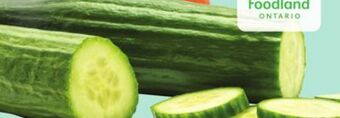 Giant Tiger English cucumber offer