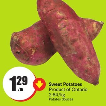 FreshCo Sweet potatoes product of ontario 2.84/kg offer