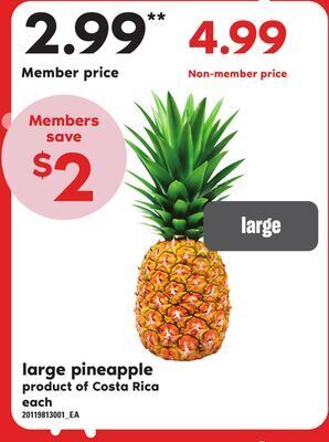 Zehrs Markets Large pineapple offer