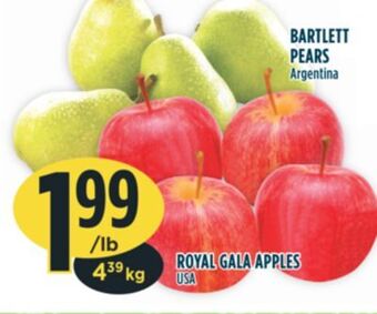 Marché Adonis Royal gala apples offer
