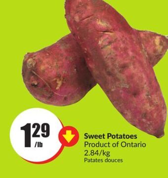 Chalo FreshCo Sweet potatoes product of ontario 2.84/kg offer