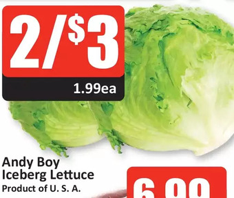 Starsky Andy boy iceberg lettuce offer