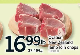 Fortinos Ovation new zealand lamb loin chops offer
