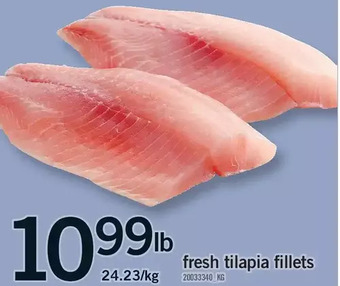 Fortinos Fresh tilapia fillets offer