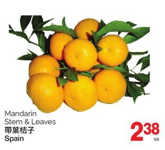 T&T Supermarket Mandarin stem & leaves offer