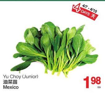 T&T Supermarket Yu choy (junior) mexico offer