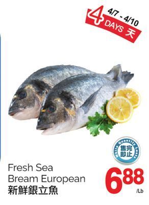 T&T Supermarket Fresh sea bream european offer