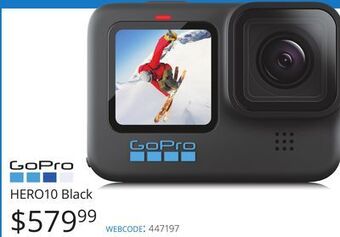 Vistek Go pro hero10 black offer