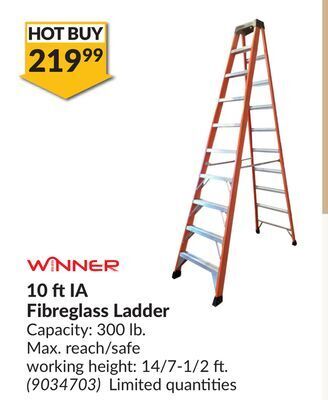 Princess Auto 10 ft ia fibreglass ladder offer