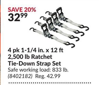 Princess Auto 4 pk 1-1/4 in. x 12 2,500 lb ratchet tie-down strap set offer