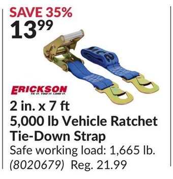 Princess Auto 5, 000 lb vehicle ratchet tie-down strap offer