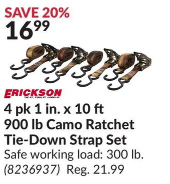 Princess Auto 4 pk 1 in. x 10 900 lb camo ratchet tie-down strap set offer