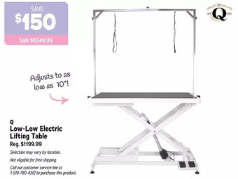 Ren’s Pets Depot Low-low electric lifting table offer
