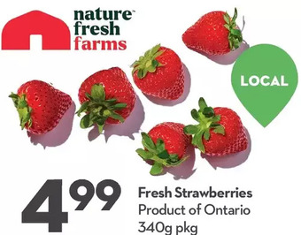 Longo's Fresh strawberries offer