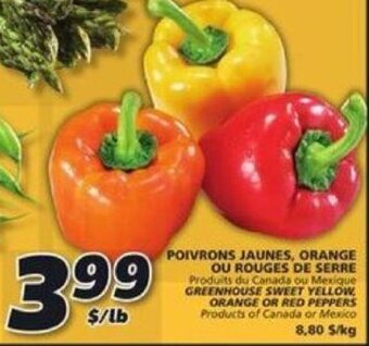 IGA Greenhouse Sweet Yellow, Orange, or Red Peppers offer