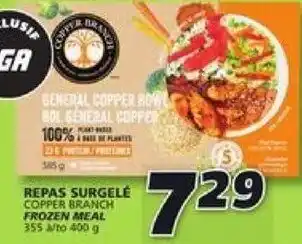 IGA Copper Branch Frozen Meal 400g offer